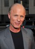 photo Ed Harris (głos)