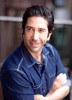 photo David Schwimmer (głos)