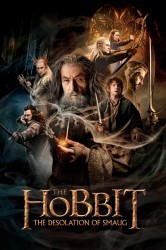 poster Hobbit 2: Pustkowie Smauga 3D  (2013)