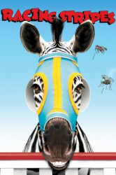 poster Zebra z klasą  (2005)